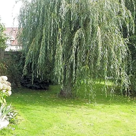 Bed & Breakfast D'hotes Liz'a