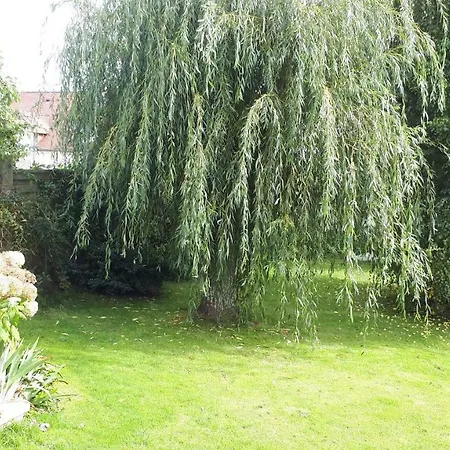 Nocleg ze śniadaniem D'hotes Liz'a